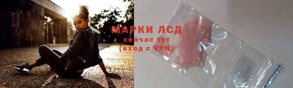 крисы Гусев