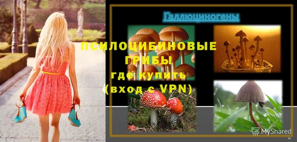 MESCALINE Гусиноозёрск