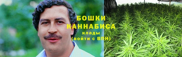 MESCALINE Гусь-Хрустальный