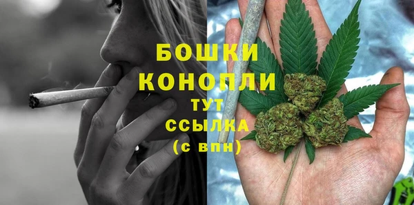 крисы Гусев